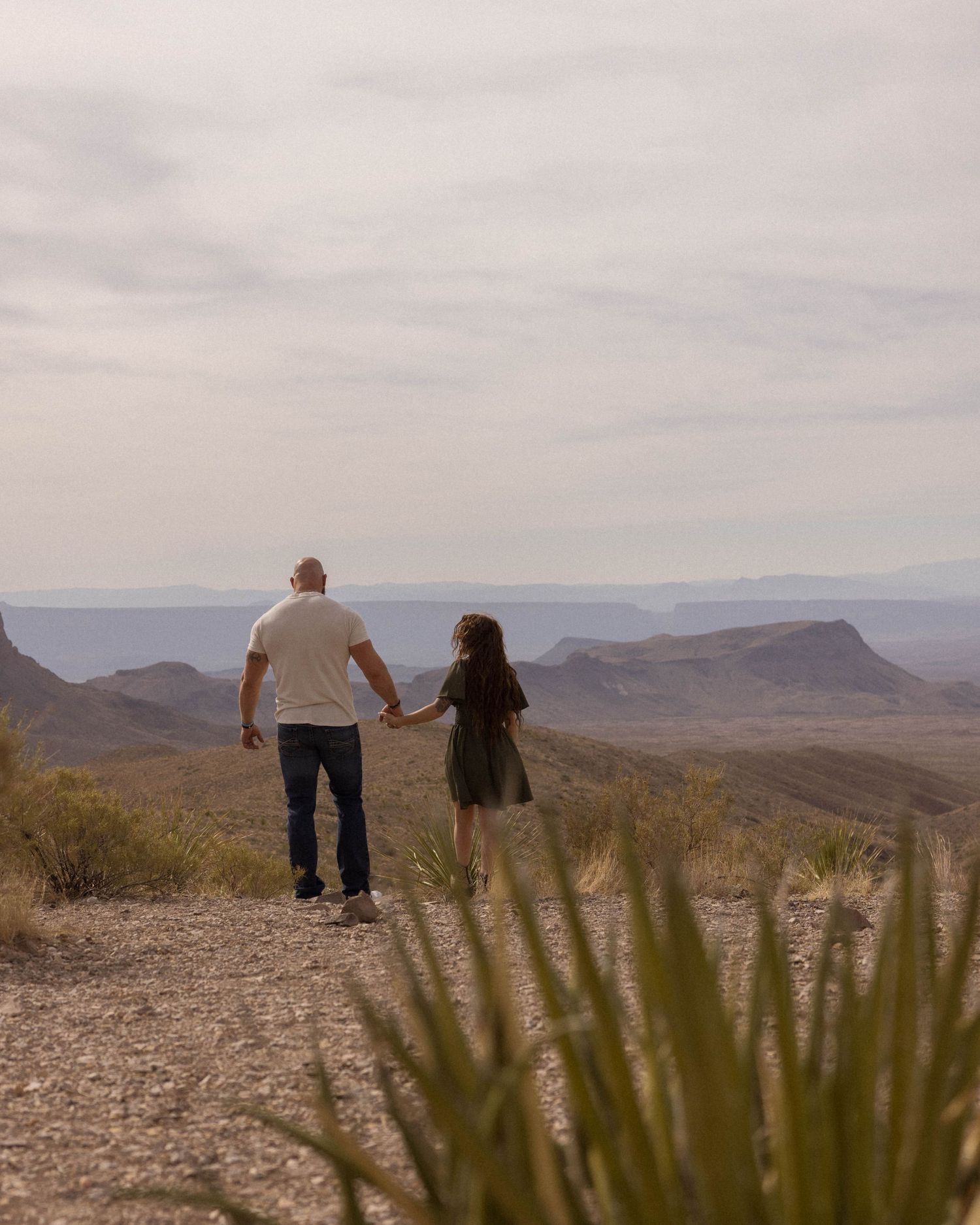 Desert mountain vista with desert plants in foreground and cloudy sky overhead.