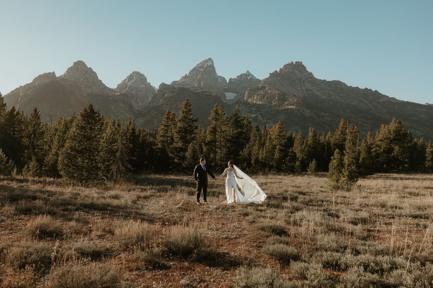 Wedding couple walking in field with dramatic mountain range backdrop.