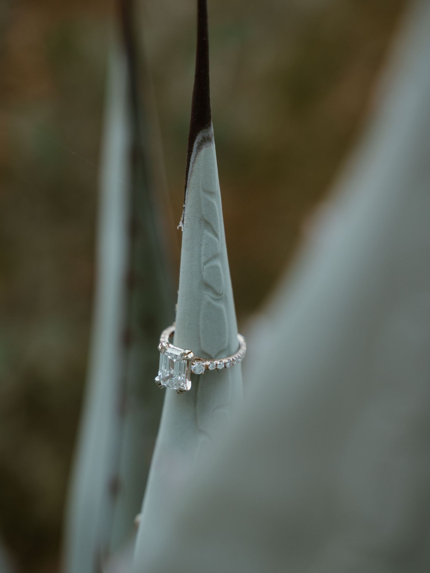 Close-up of an engagement ring with delicate details on a light background.