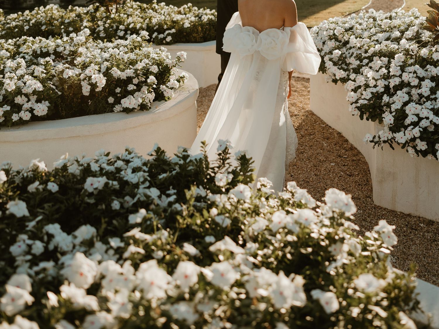 White flowers bloom abundantly in a garden setting with sunlit pathways and decorative elements.