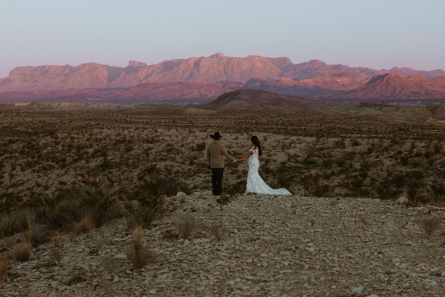 Desert landscape at sunset with red mountains and scattered vegetation stretching across the horizon.