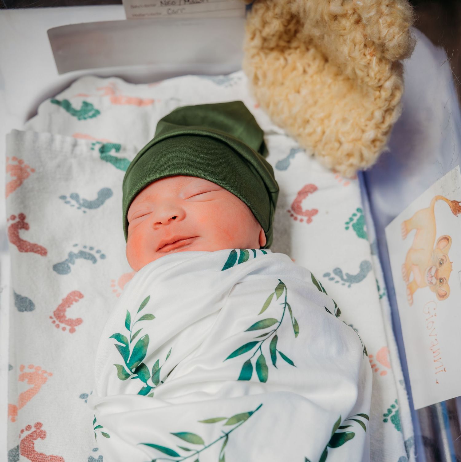 Newborn baby sleeping peacefully in a white onesie with dinosaur print and green hat next to plush toy.
