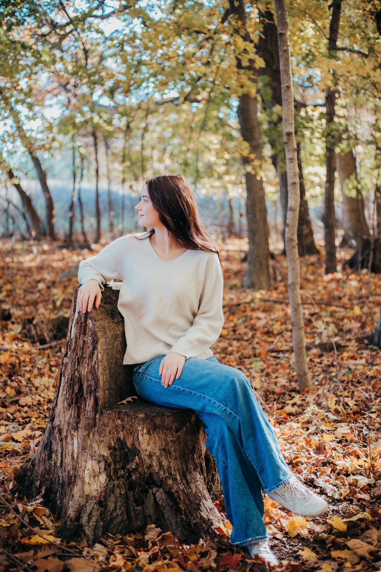 Autumn forest scene with person in cream sweater and jeans sitting on tree stump surrounded by fallen leaves.