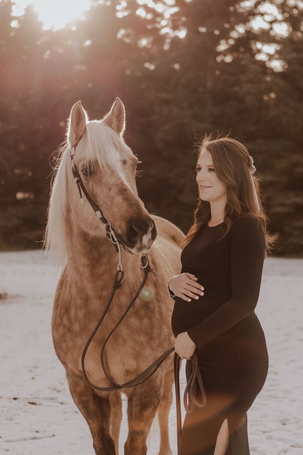 Calgary, Alberta maternity in winter with horse