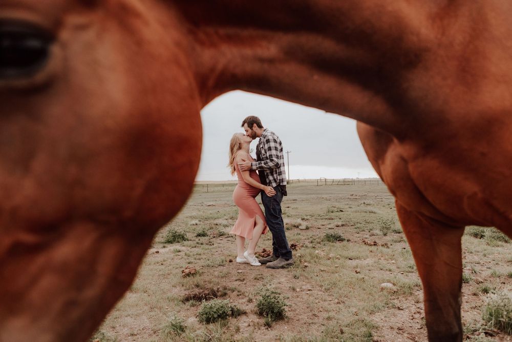 Calgary, Alberta maternity with horse and husband