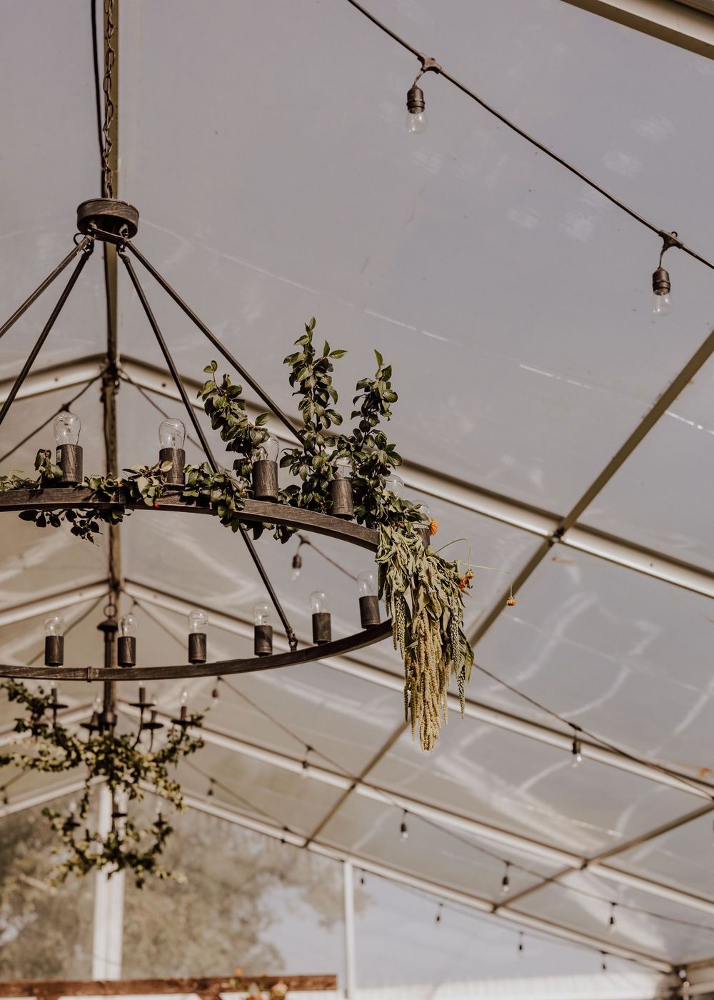 Calgary, Alberta Wedding Reception