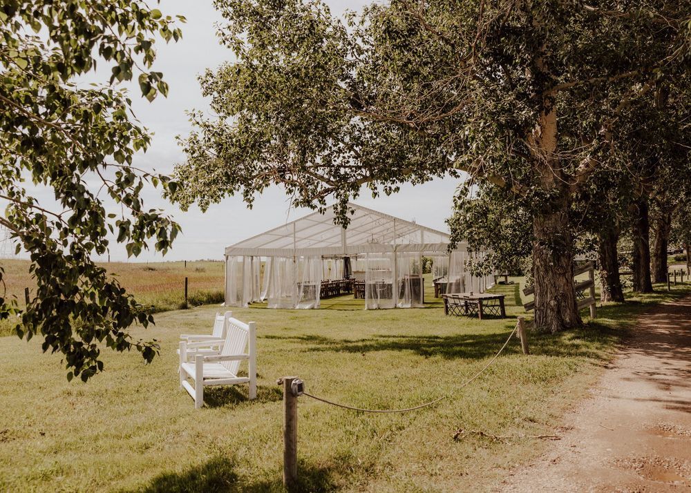 Calgary, Alberta Wedding Reception