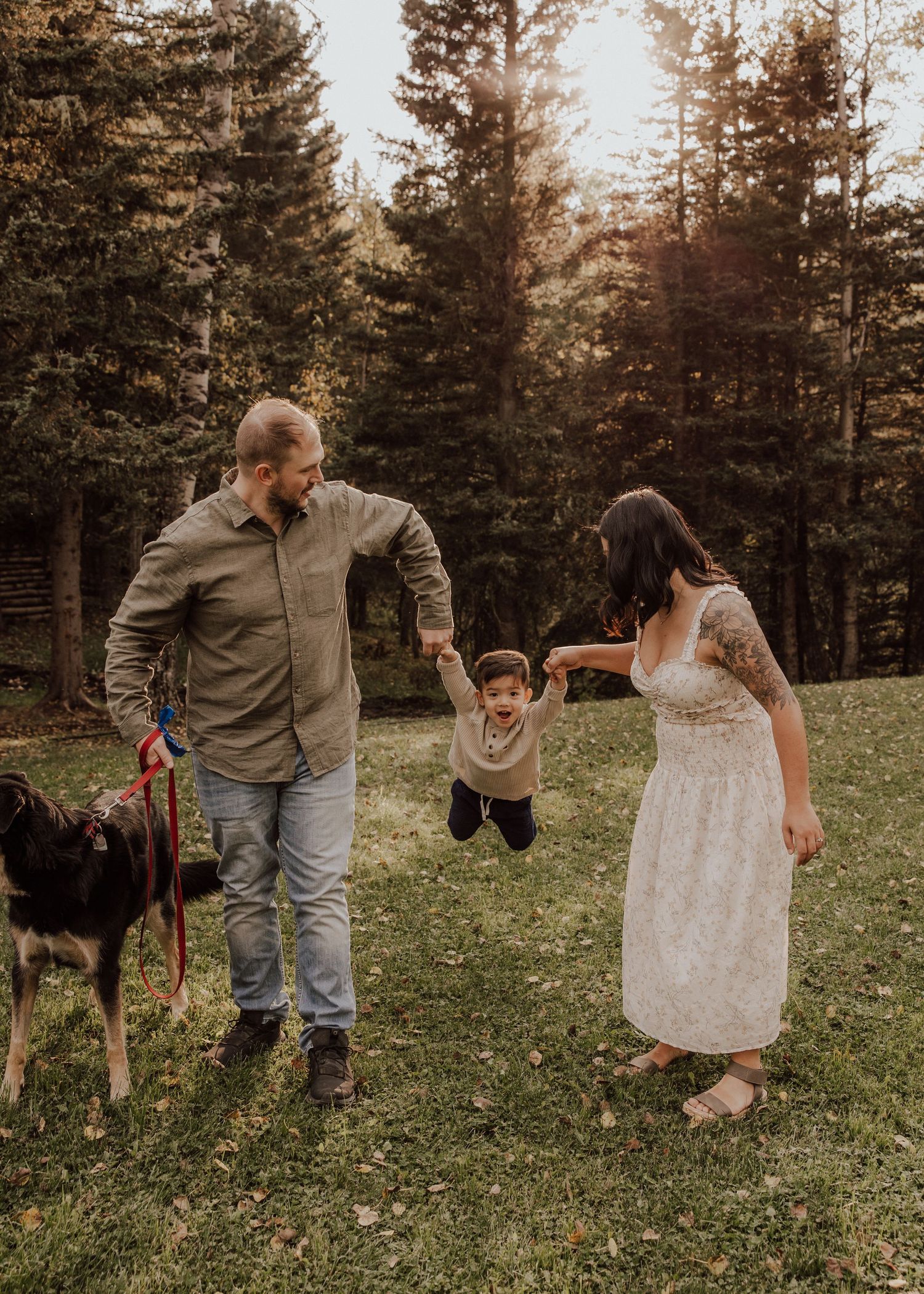 A family swings their toddler between them on a grassy lawn surrounded by tall pine trees, with a dog on a leash nearby.