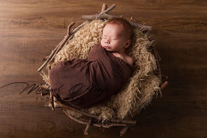 A series of newborn baby photography portraits on a wooden backdrop with straw nest props and brown swaddle blankets.