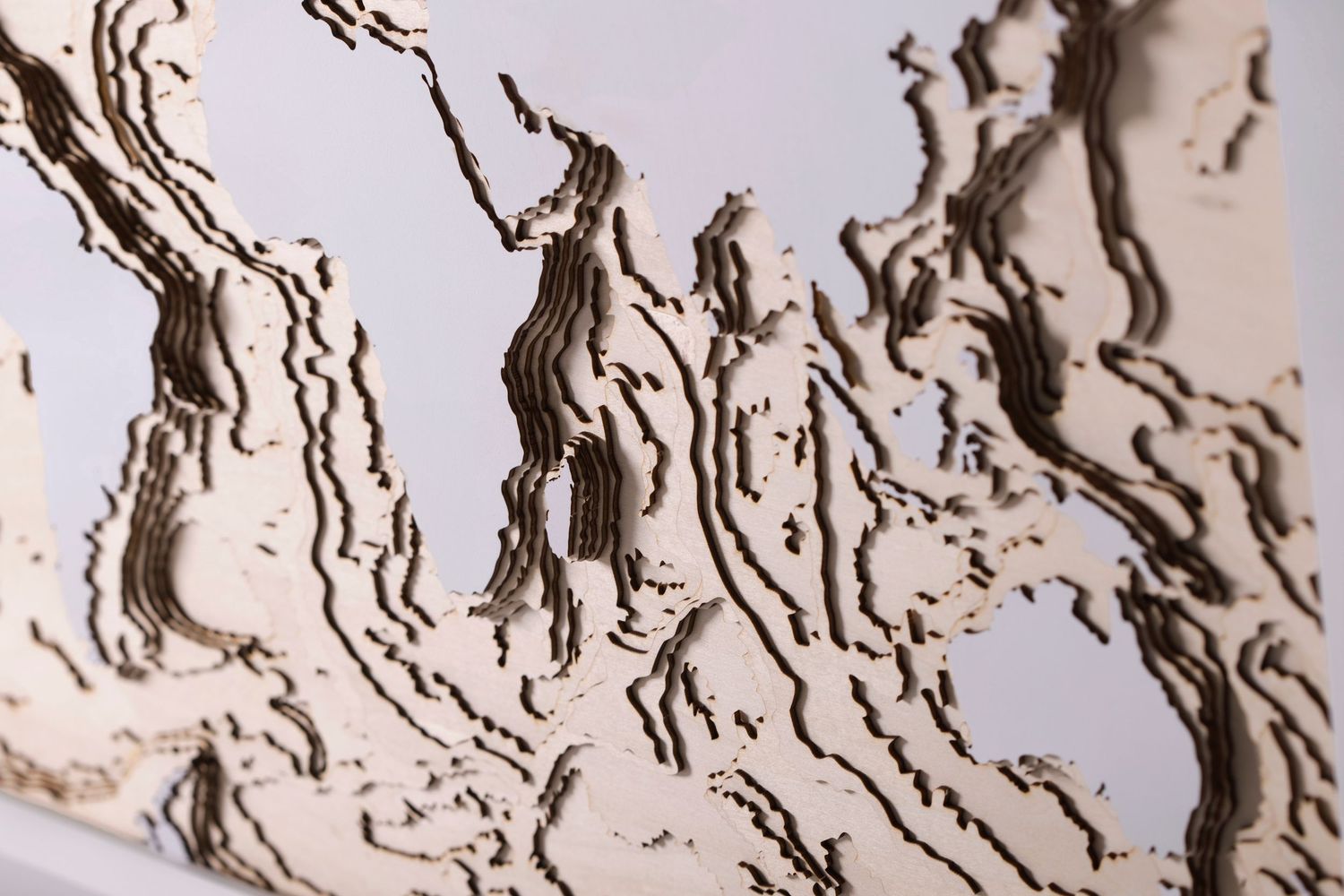 Close-up detail of a carved wooden topographical map showing terrain features.