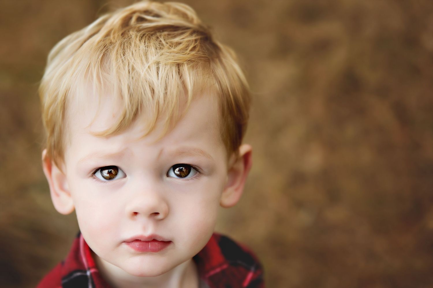 Close up portrait of a young child wearing a red plaid shirt against a blurred brown background.