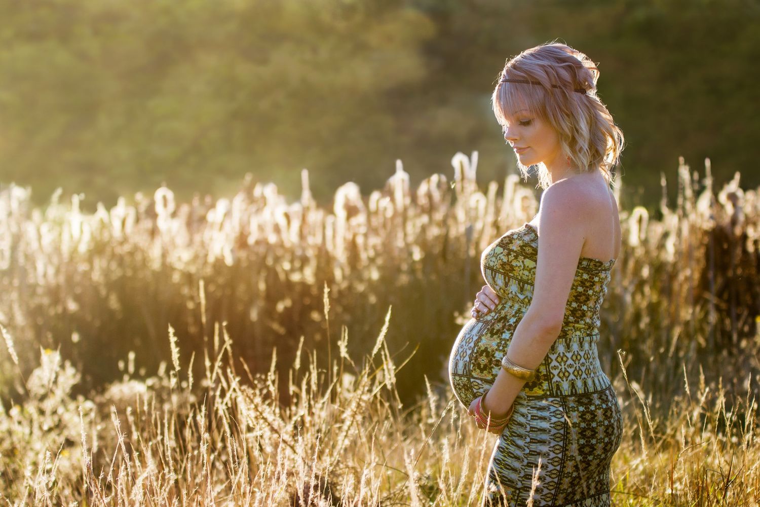 Backlit maternity portrait in golden field with cattails at sunset.