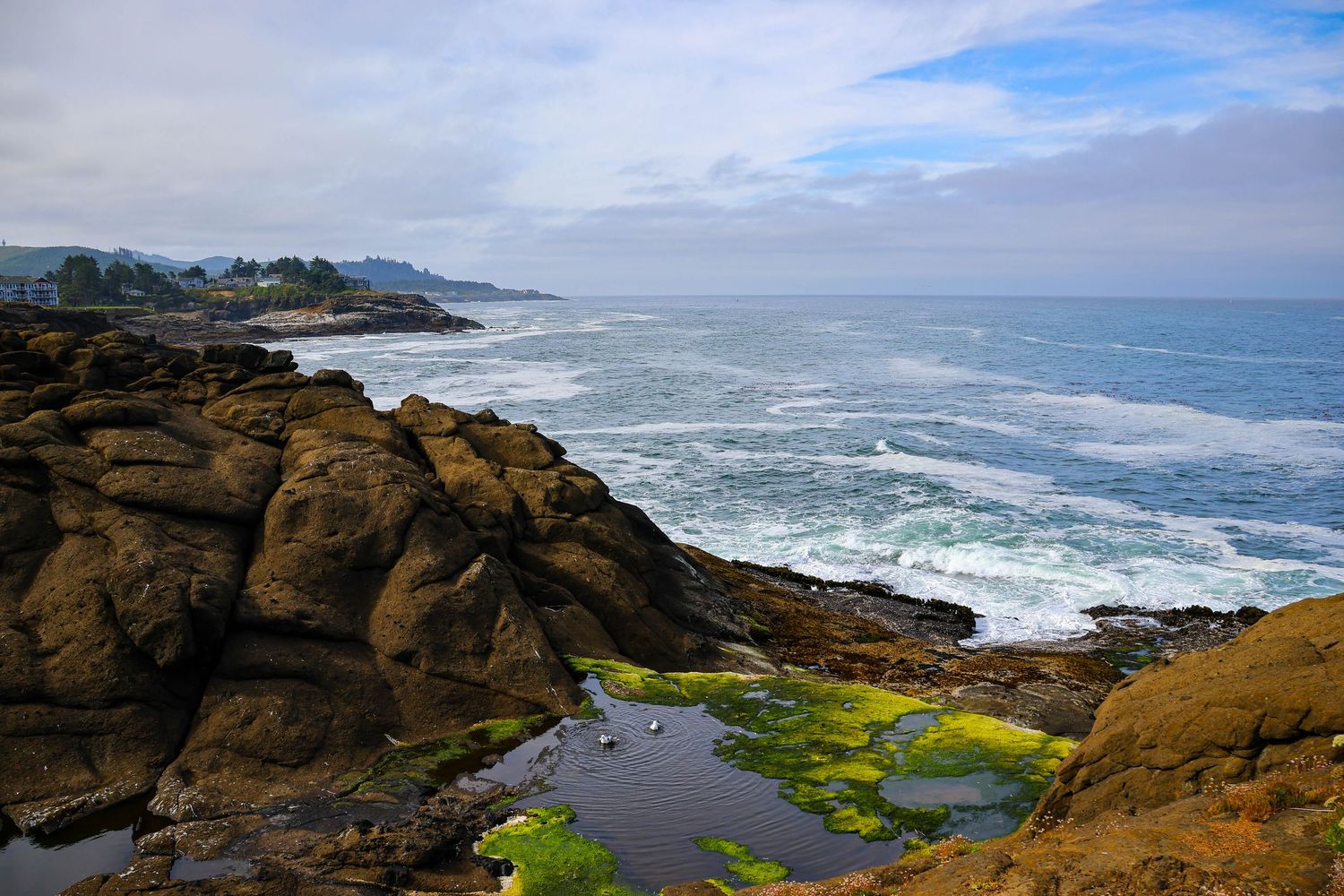 Oregon Coastline.