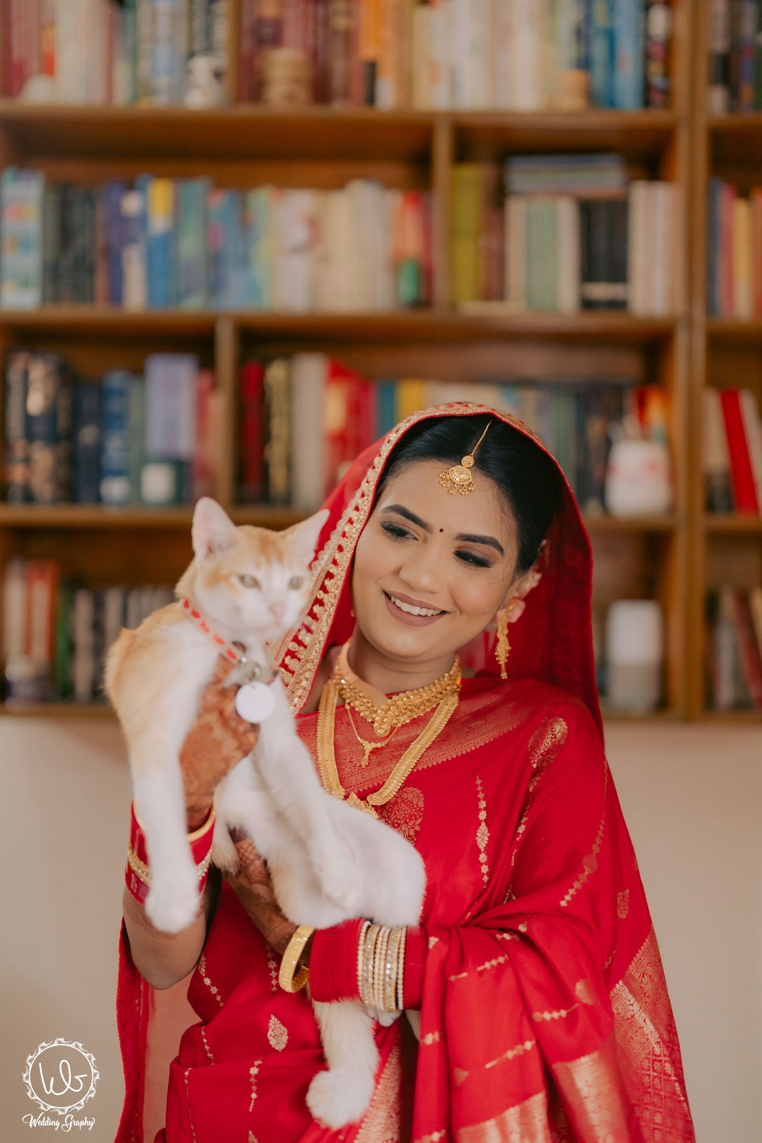 A bride in red traditional attire plays with a white cat in a library setting.