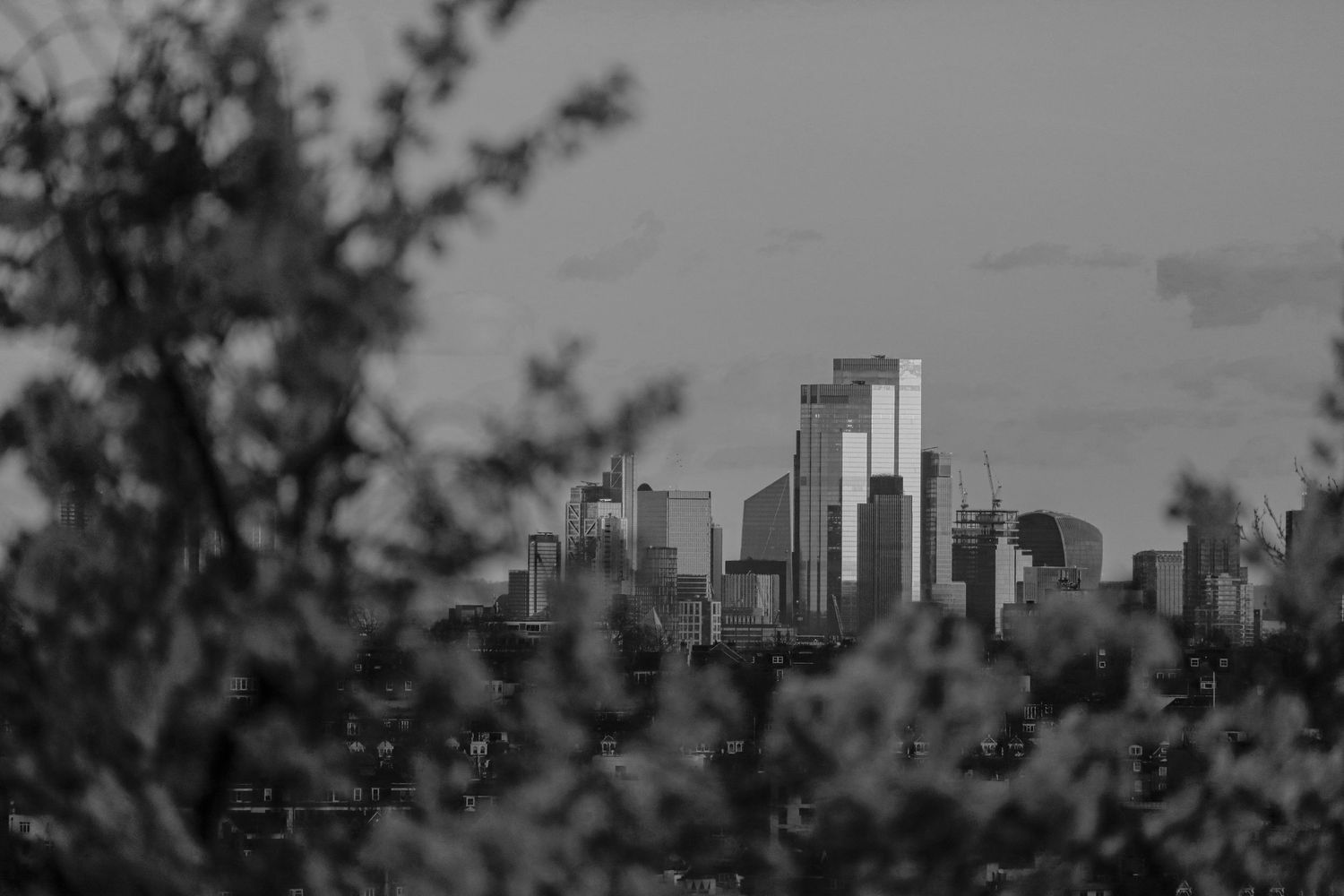 Spring trees and central London buildings from a far distance as urban black & white photography available as wall art prints.