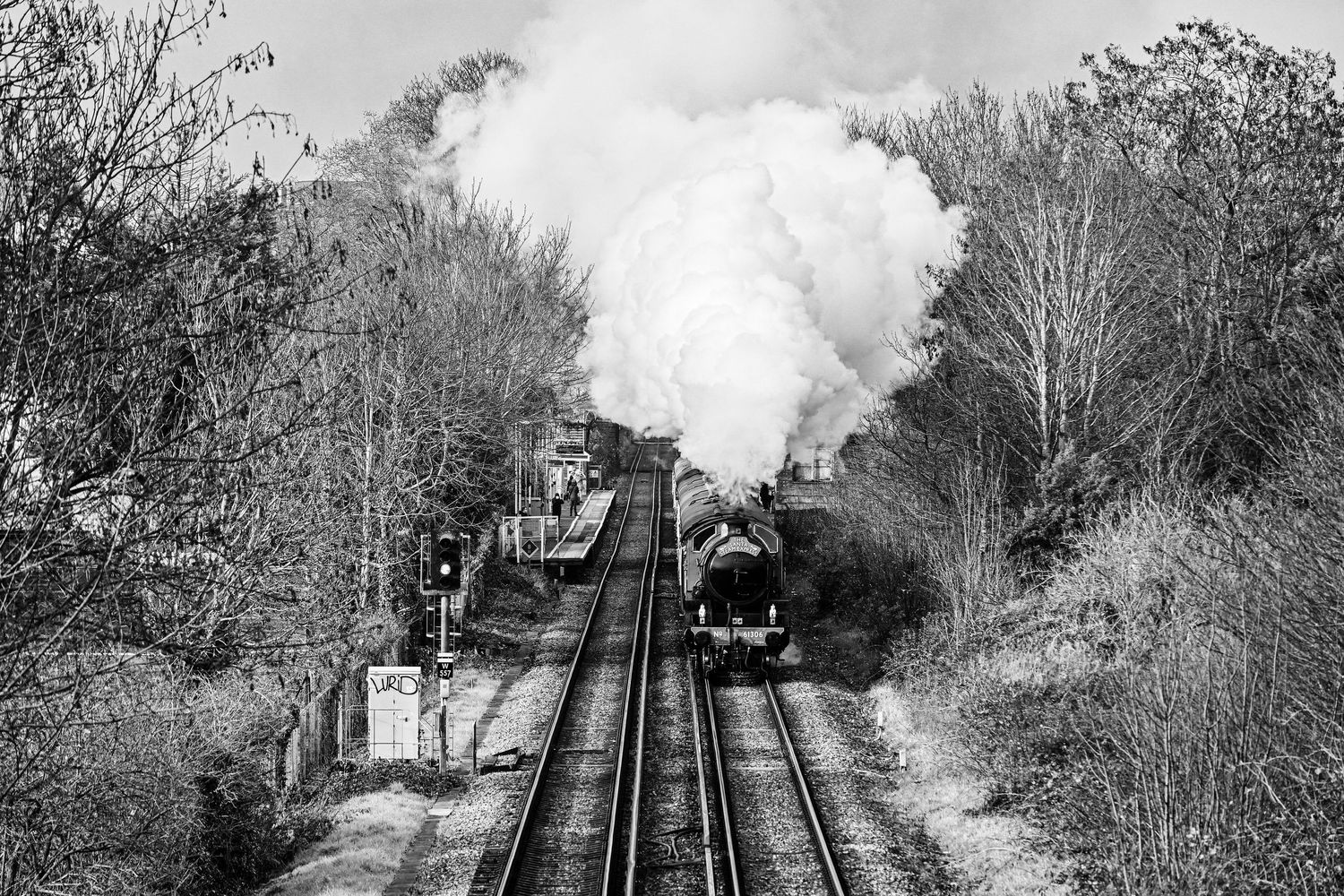 61306 Mayflower passes Chiswick as scenic railway black & white photography available as wall art prints.