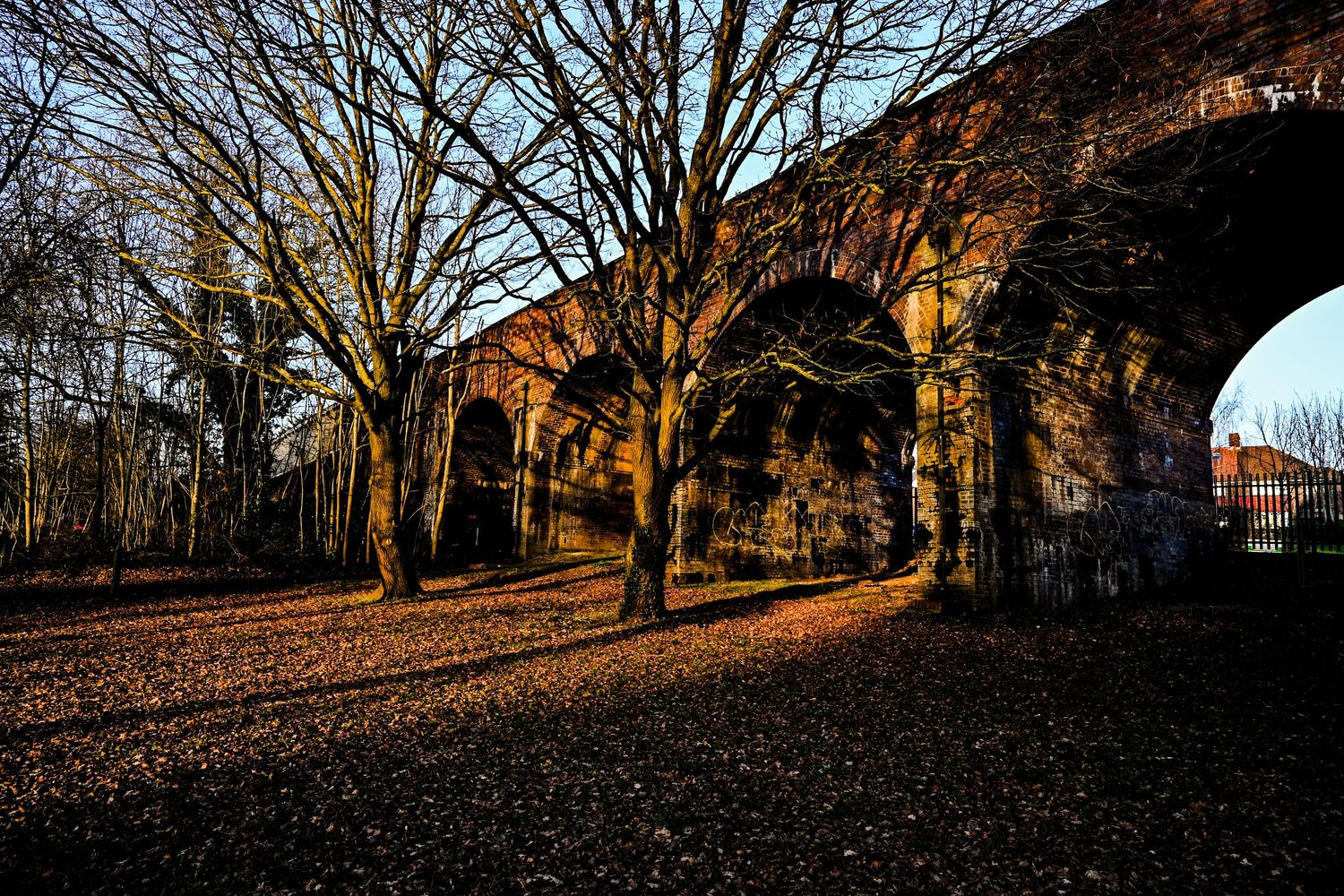 Viaduct & winter trees during sunshine in London as viaduct photography available as fine art prints.