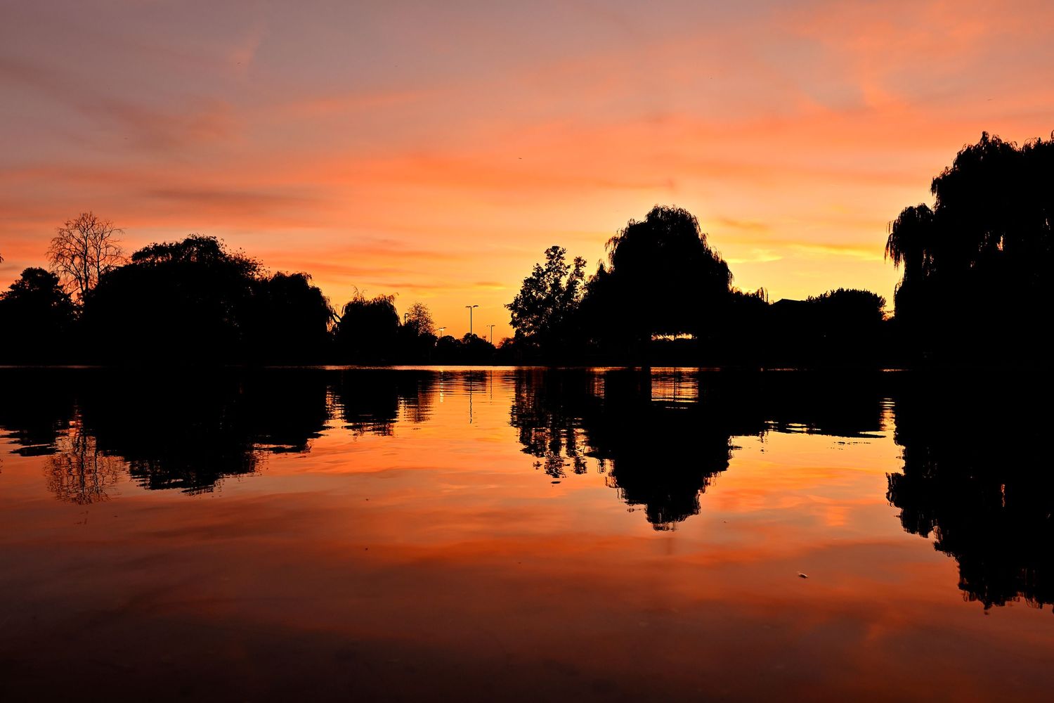 Golden hour sunset reflecting on a calm pond in Broomfield Park as landscape photography available as fine art wall prints.
