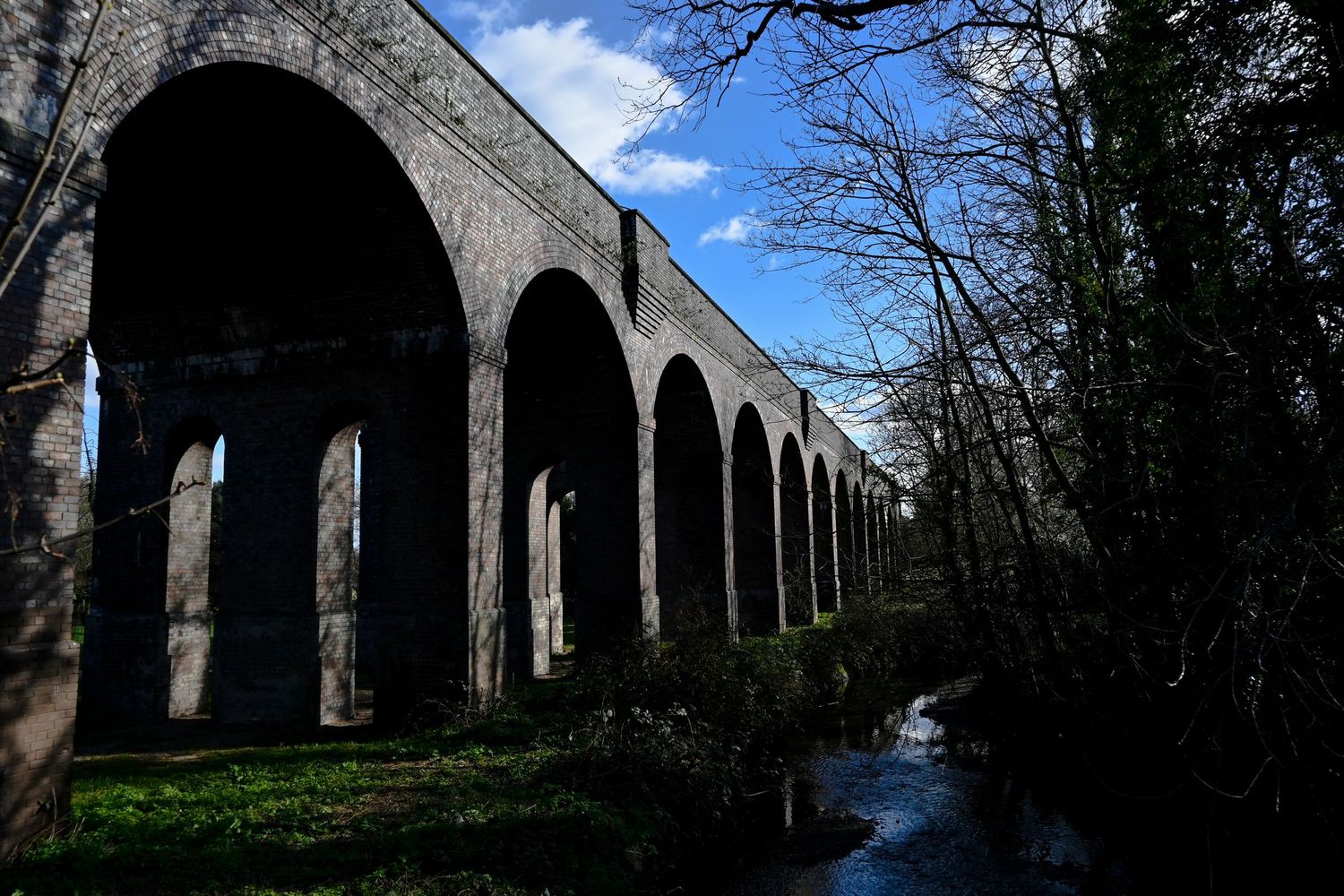 Sunshine viaduct and winter trees. Landscape photography available as fine art prints.