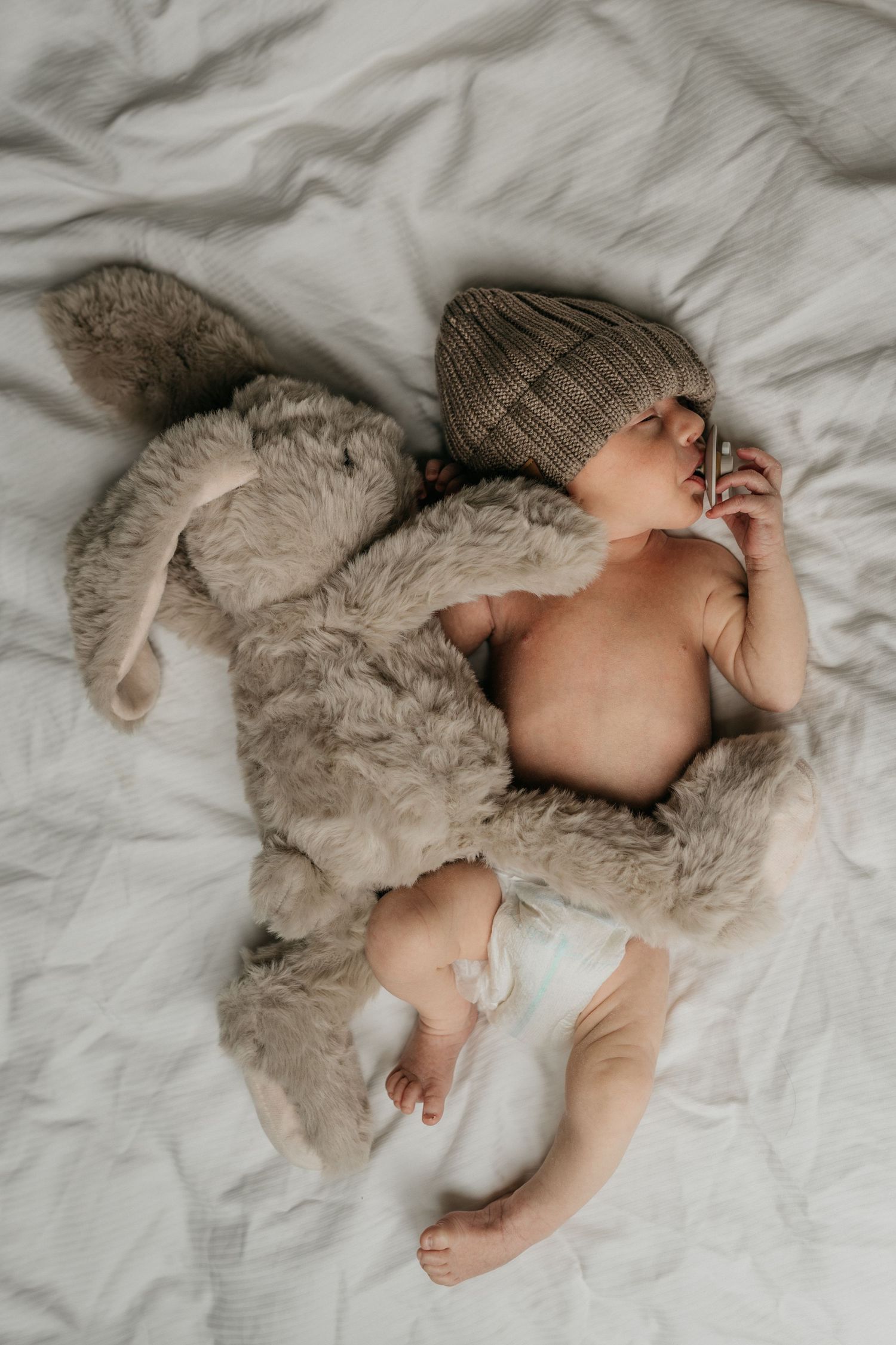 Newbornfoto met grote knuffel