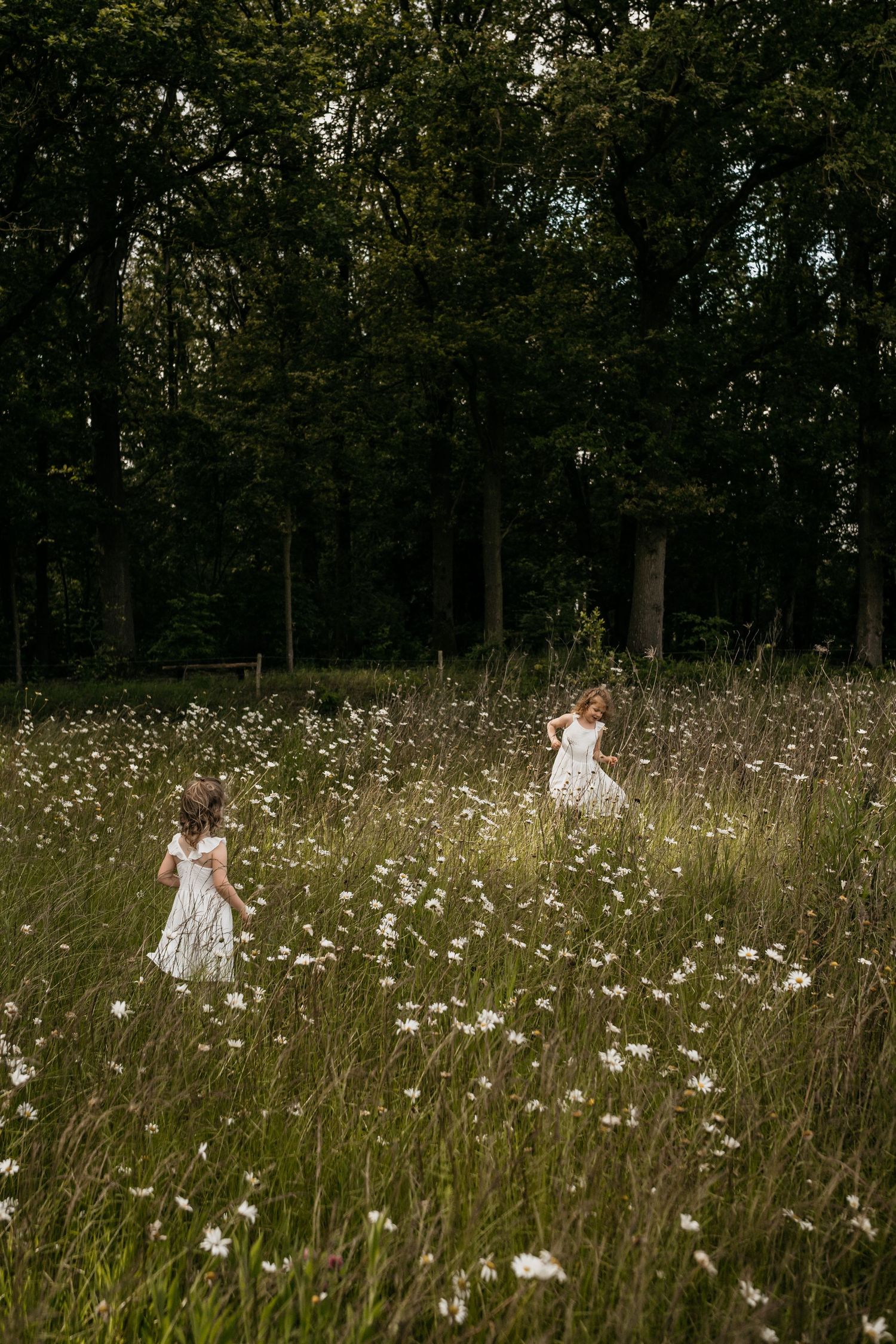 Zusjes spelen in bloemenveld tijdens een motherhoodshoot in Noord-Brabant