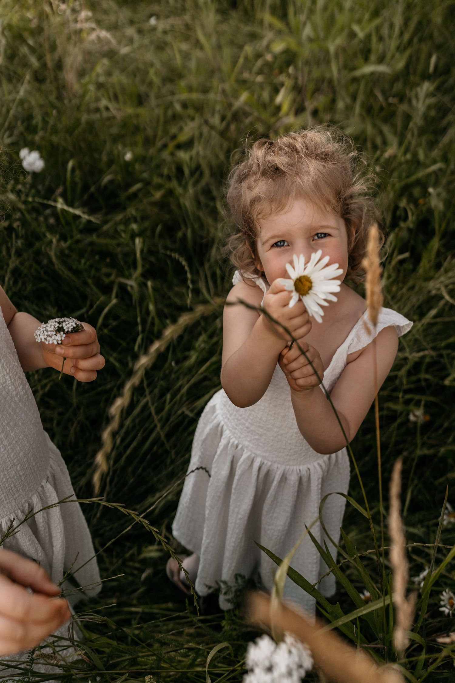Flowergirl during familyphotoshoot in flower field in NL