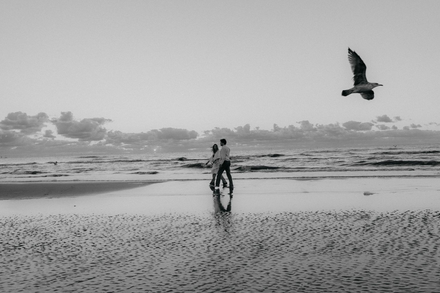 Surfers couple at the beach with bird flying over