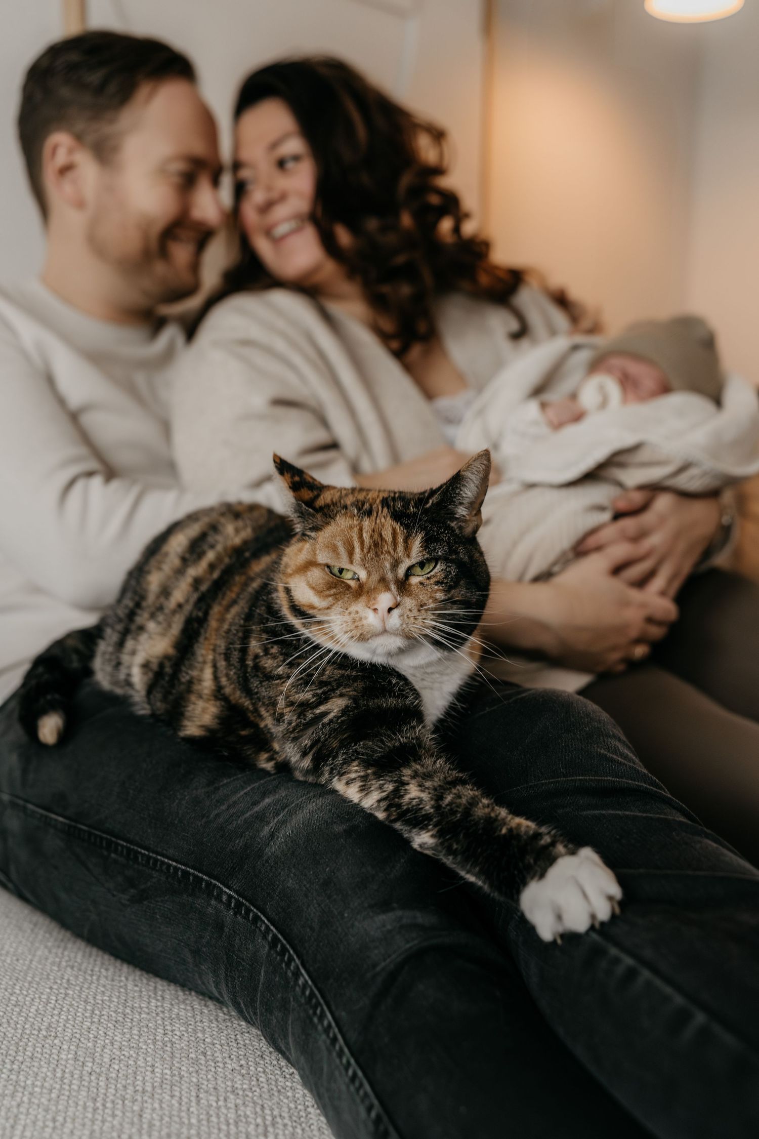 Newborn family with the cat