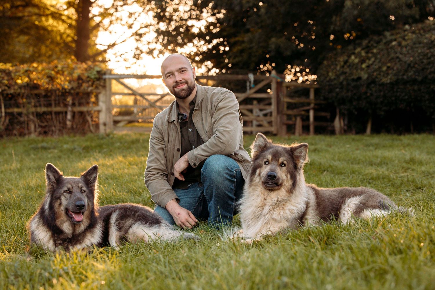 A series of outdoor photos showing German Shepherd dogs with their owners in a grassy field at sunset.