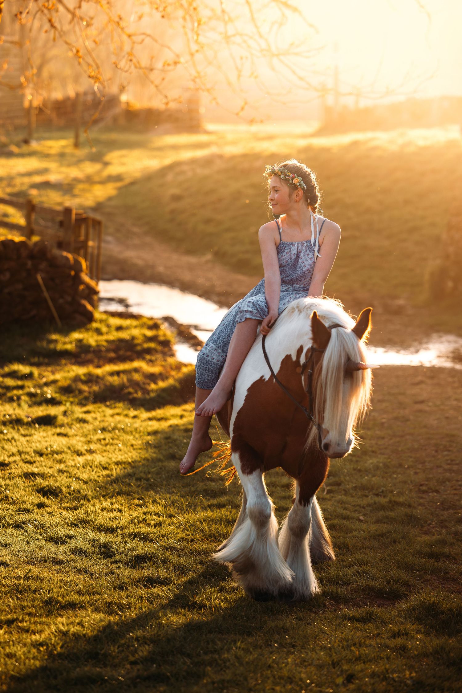 Horse and rider silhouetted against golden sunset in grassy field.