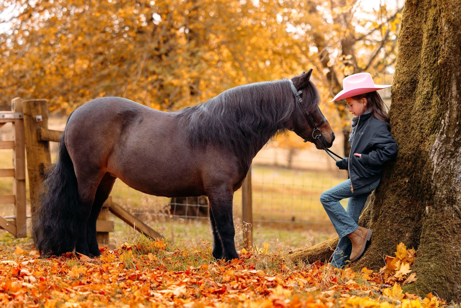 Horses grazing among autumn trees with fallen orange leaves.