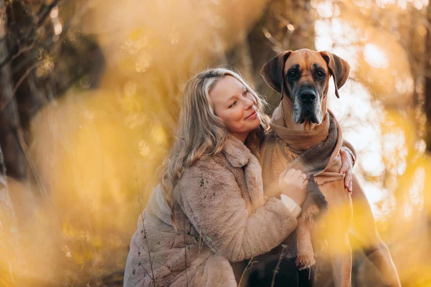 Heartwarming interaction between dog and companion in golden autumn light.