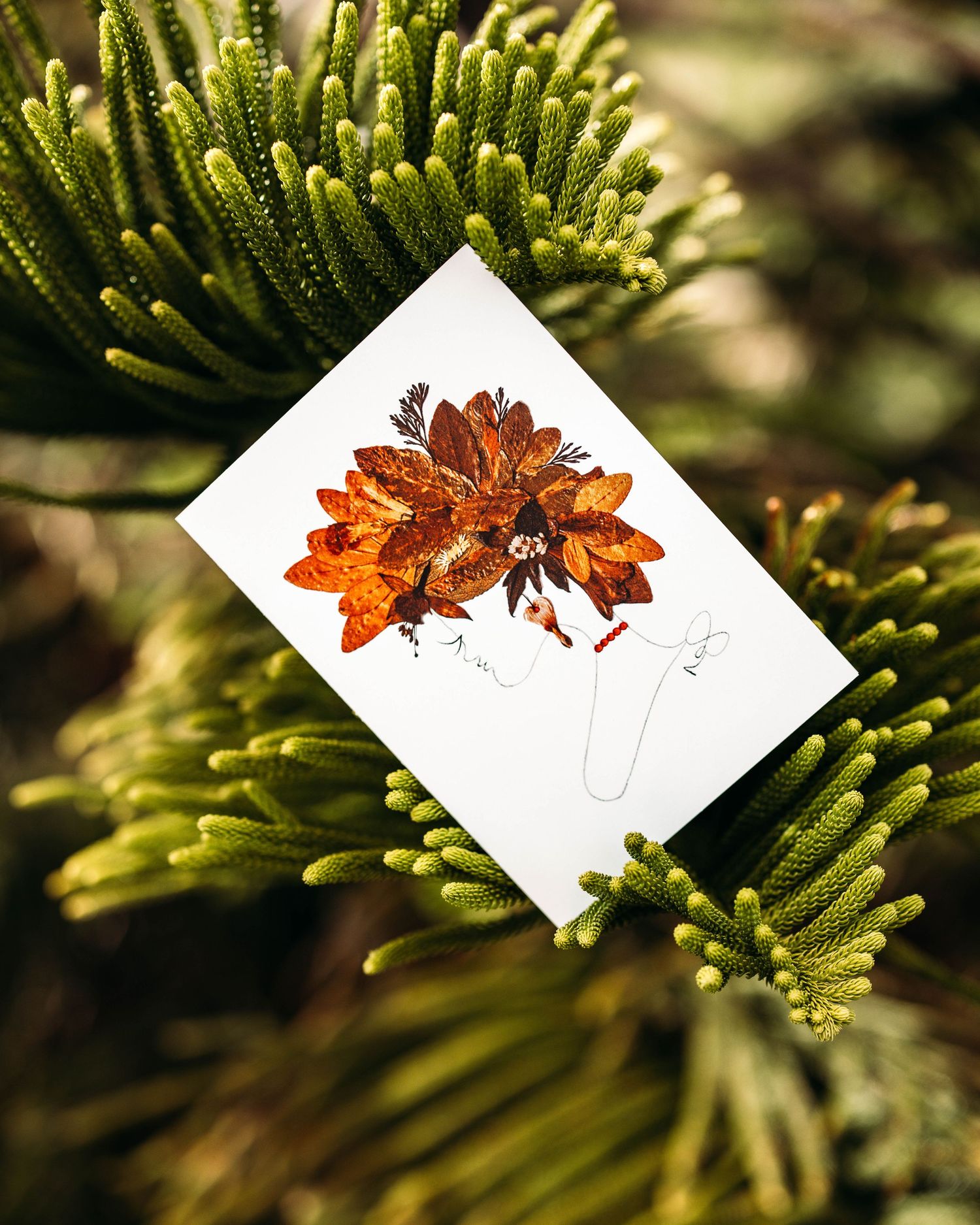 Watercolor illustration of orange autumn leaves displayed against green pine needles in sunlight.