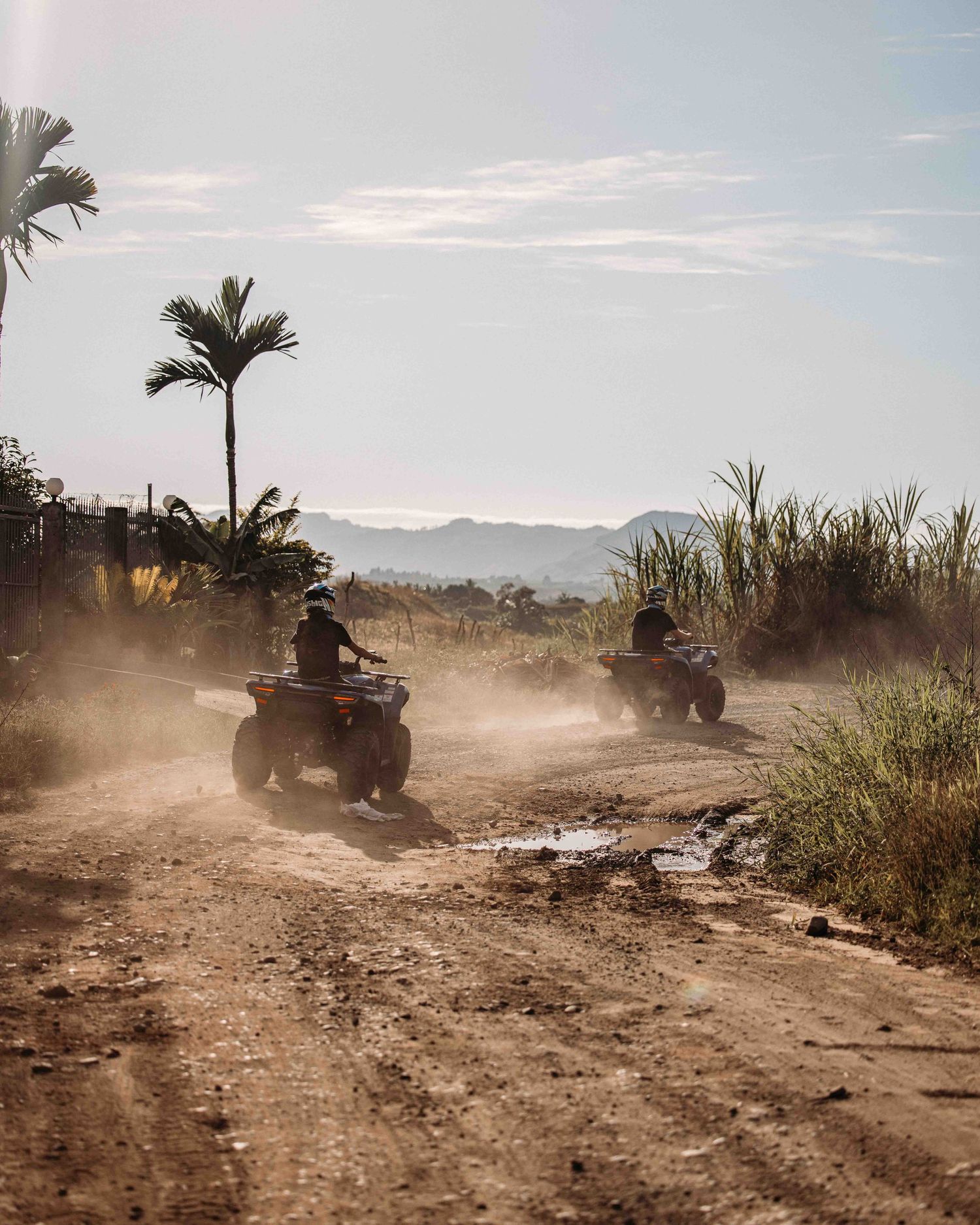 ATVs kicking up dust while riding through a desert trail with palm trees in the background.