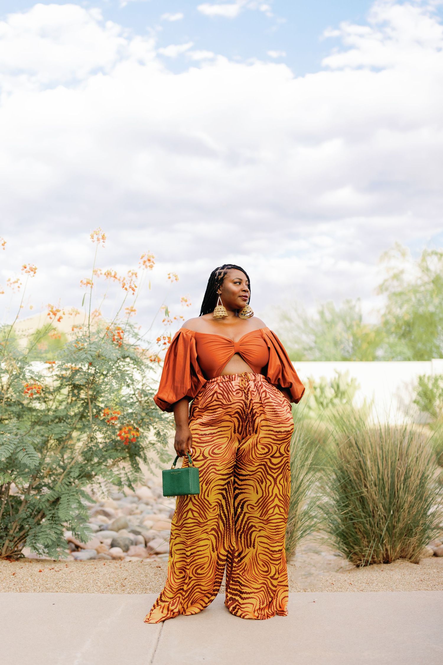 A panoramic series of desert landscape photos featuring someone in vibrant orange and brown tiger-print attire among desert flora.