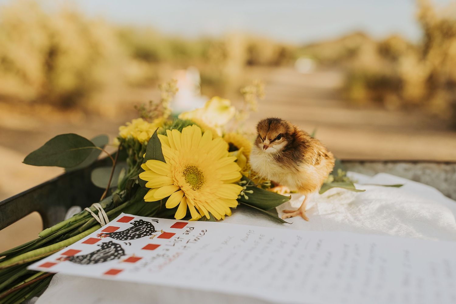Yellow daisies, scattered brown leaves and handwritten letters create a romantic flatlay composition on a wooden surface.