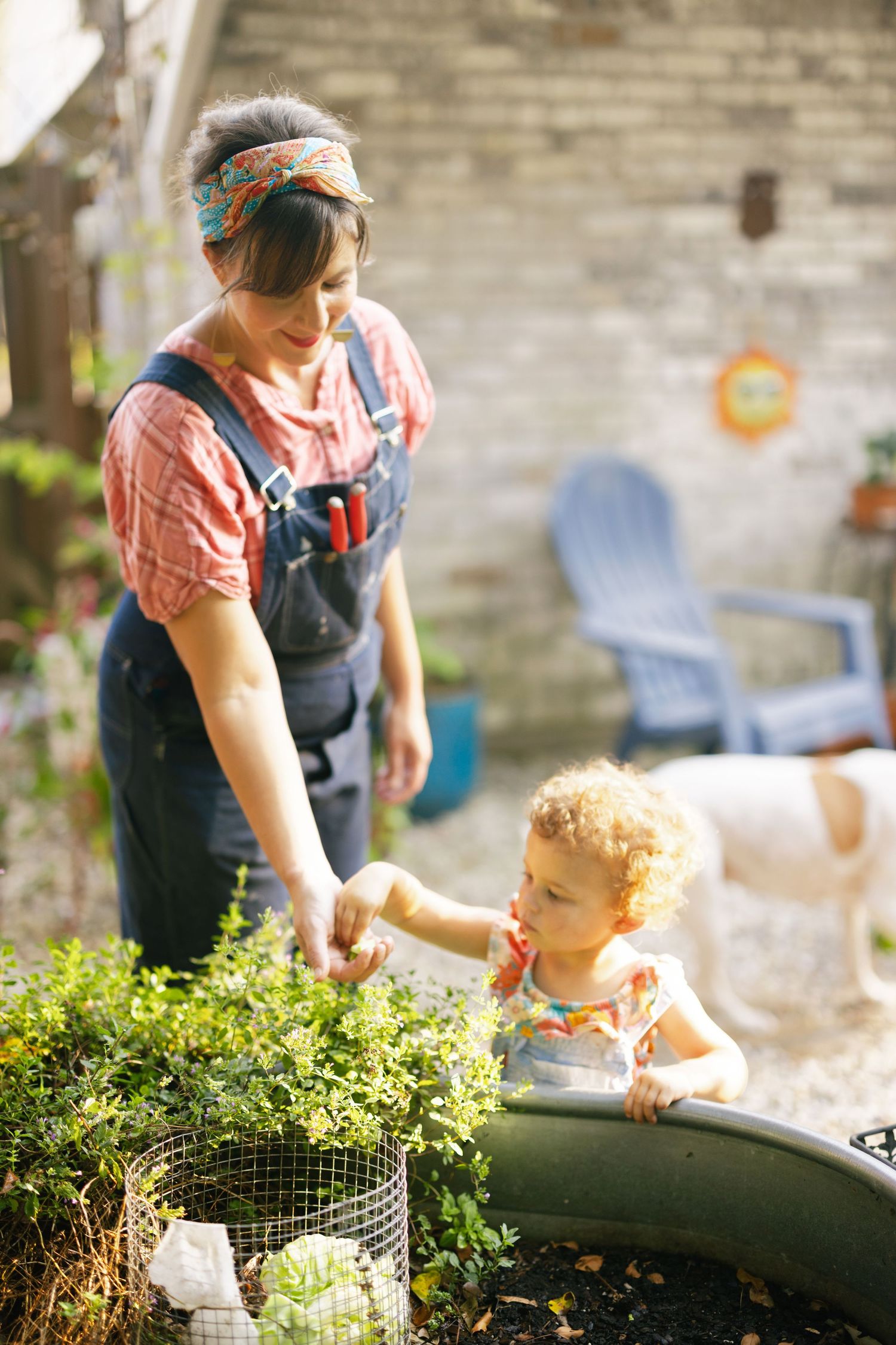 Adult and toddler explore a backyard garden together on a sunny day, with plants and outdoor furniture visible.