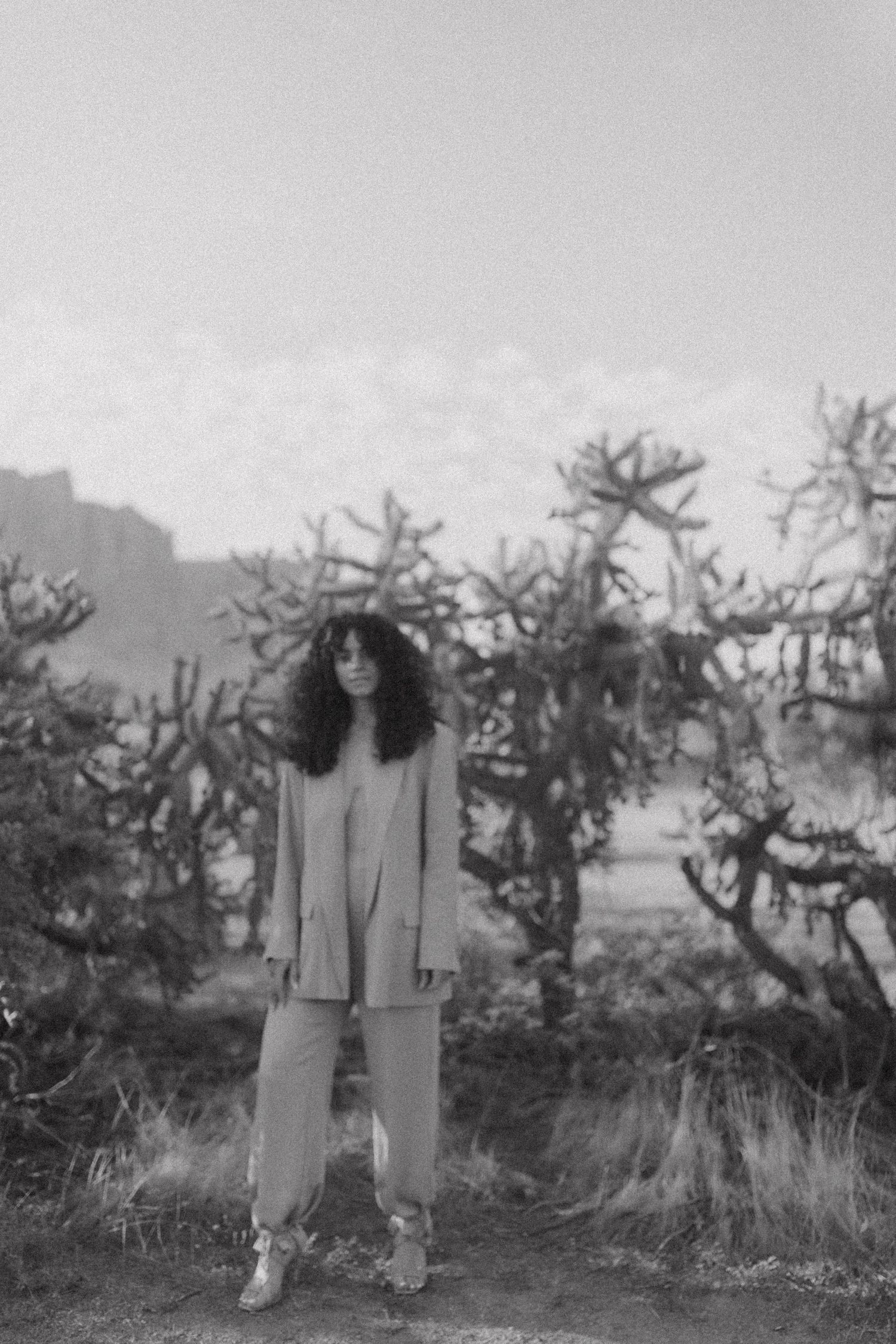 Collection of vintage black and white photographs showing two people standing together outdoors near trees.