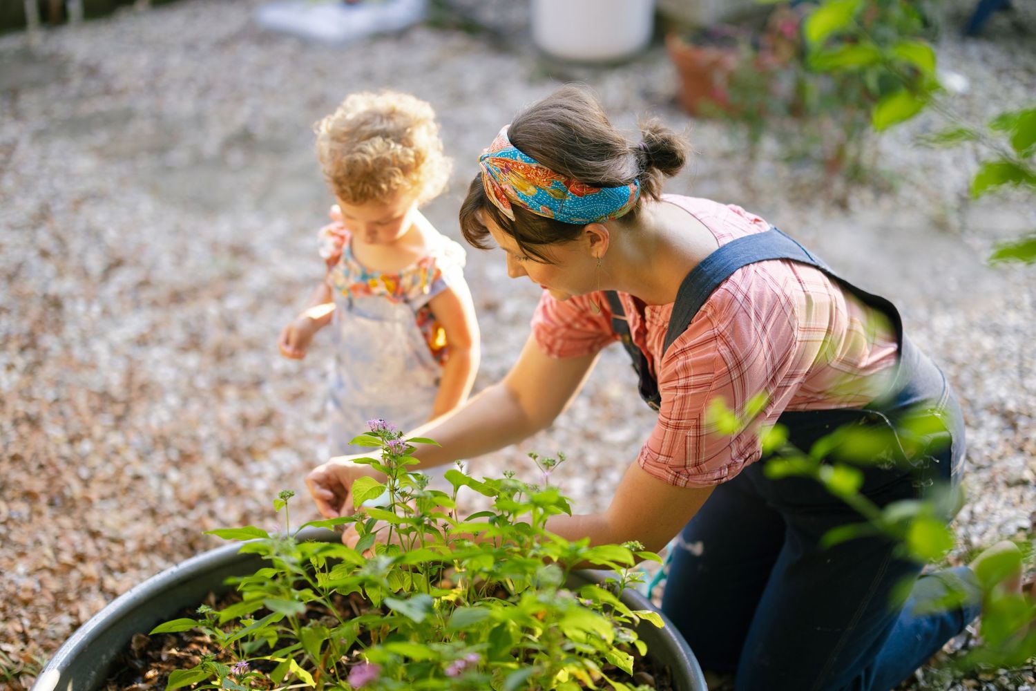 Students tend to plants in an outdoor garden while learning about sustainable agriculture and environmental education.
