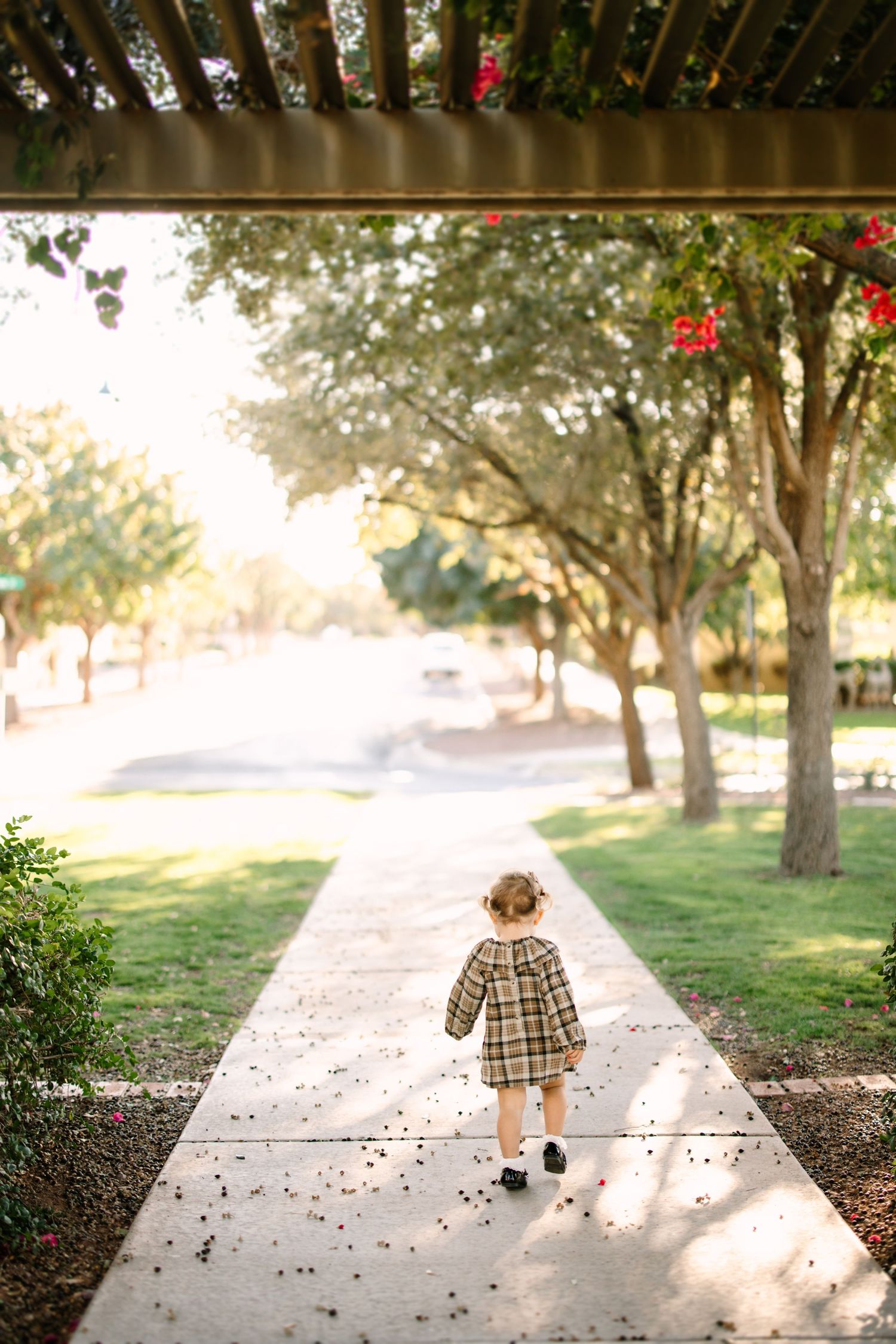 Small child in plaid dress walking alone on a sunlit sidewalk path lined with trees on a peaceful autumn day.