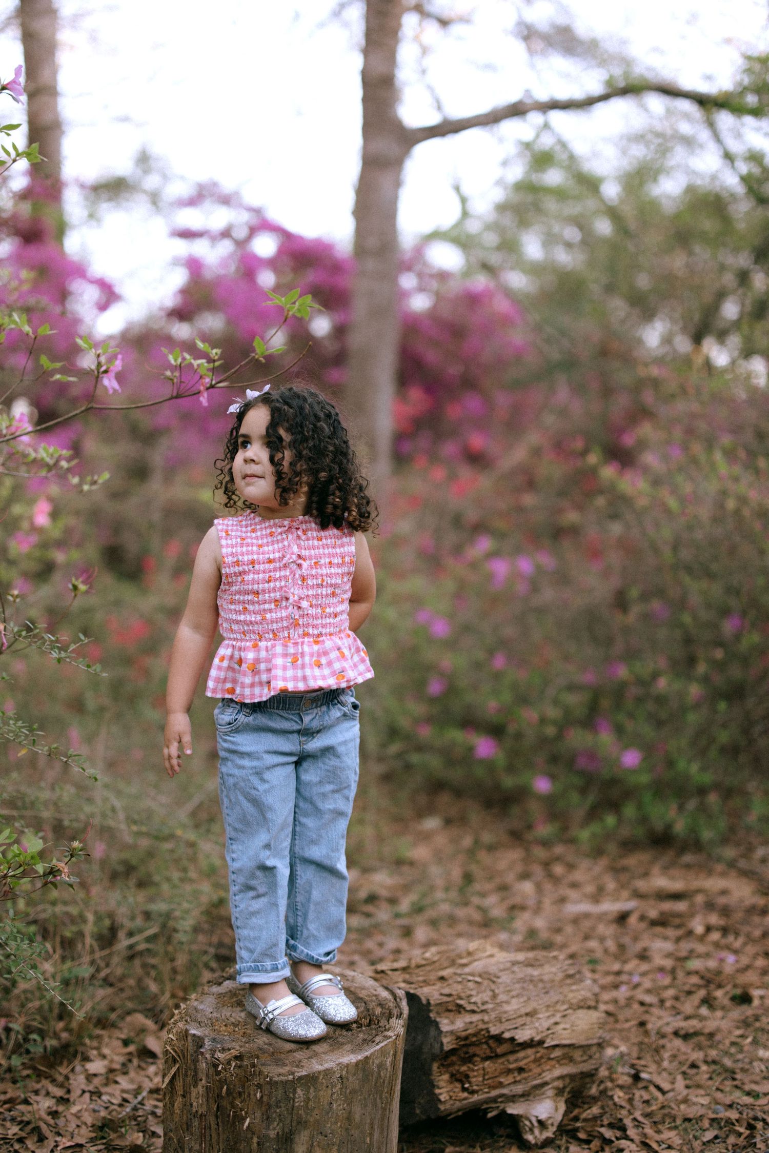 A person stands on a tree stump along a wooded trail surrounded by blooming pink azalea flowers in spring.