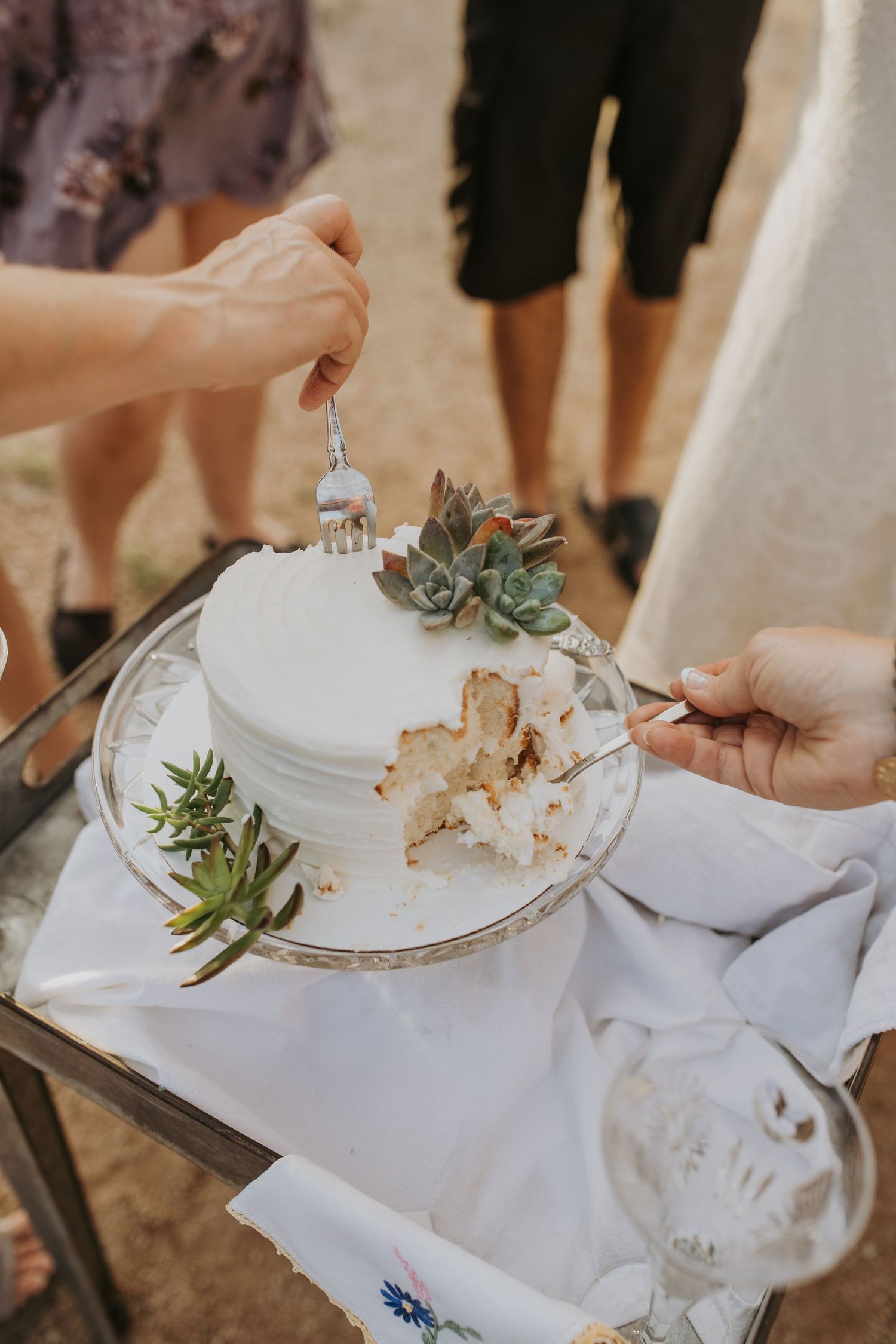 Close-up view of white wedding cake slices being served on elegant china plates with delicate succulent decorations.