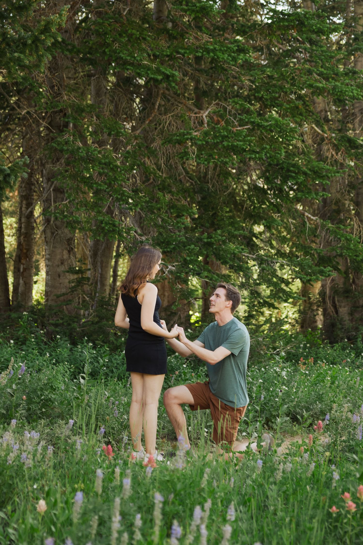 Proposal at Albion Basin in Little Cottonwood Canyon, Utah photography by Av Potter Photo a Utah wedding and lifestyle photographer