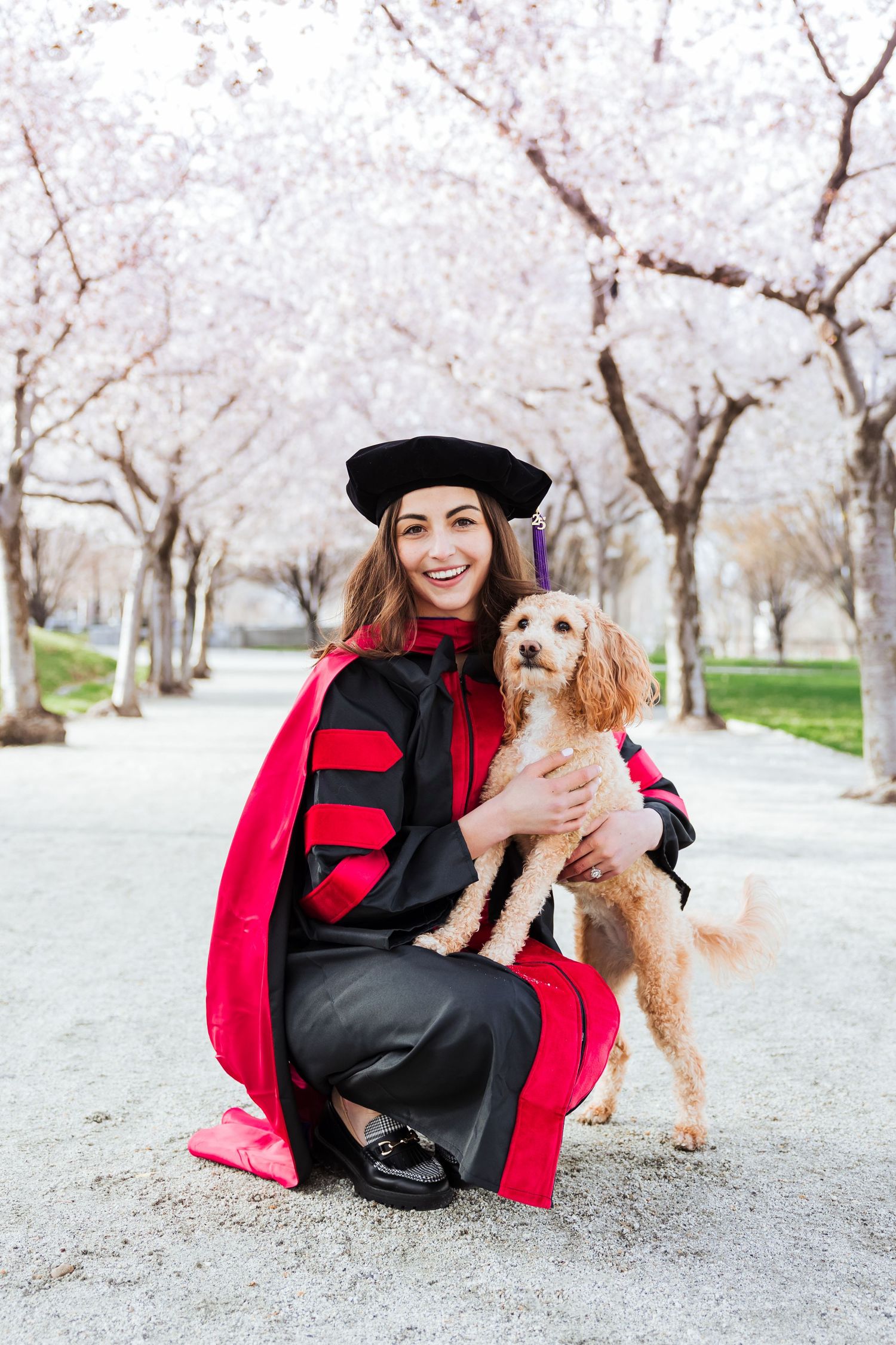 Graduate with dog during cherry blossoms at The Utah State Capitol photography by Av Potter Photo a Utah wedding and lifestyle photographer