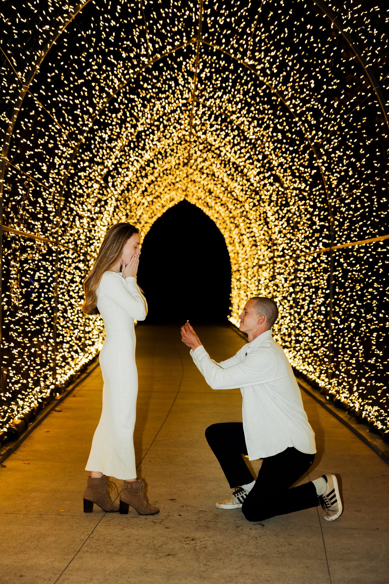Proposal at Light Walk at Tracy Aviary in Salt Lake City, Utah photography by Av Potter Photo a Utah wedding and lifestyle photographer
