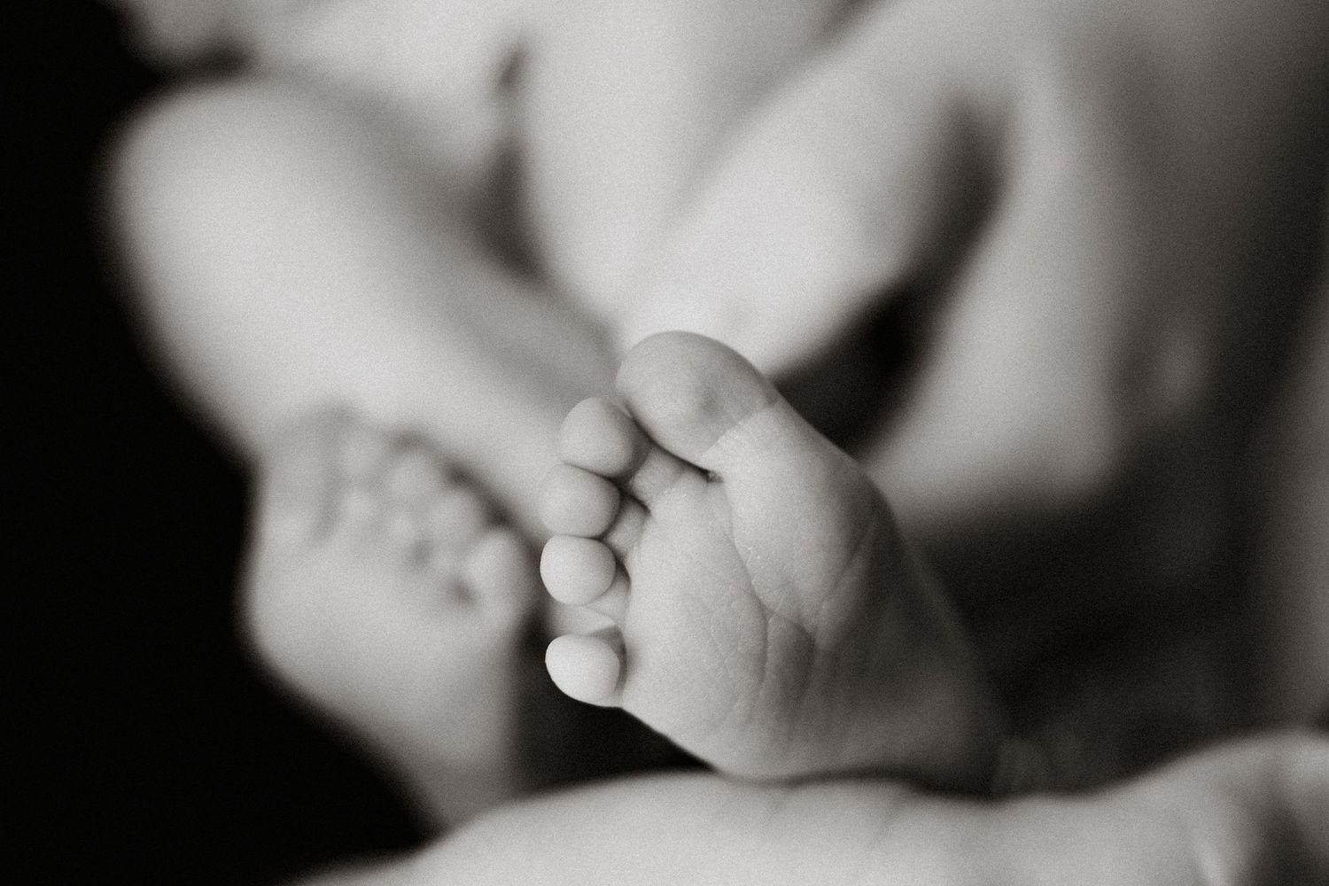 Black and white macro photograph of a newborn baby's tiny foot.