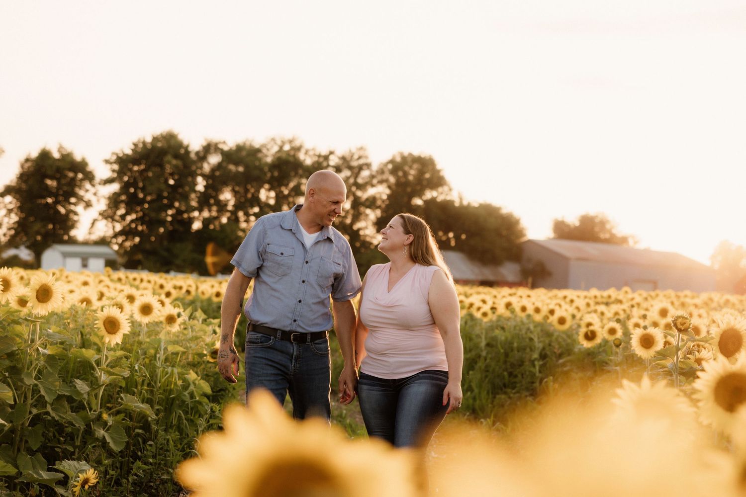 Couple walking through a golden sunflower field during sunset.