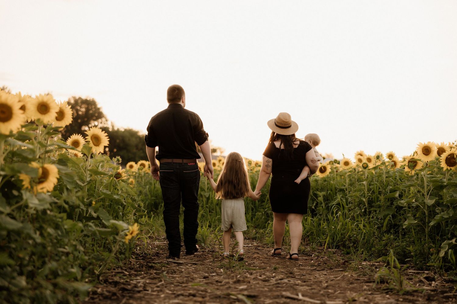 Silhouette of a family walking through a sunflower field at dusk.