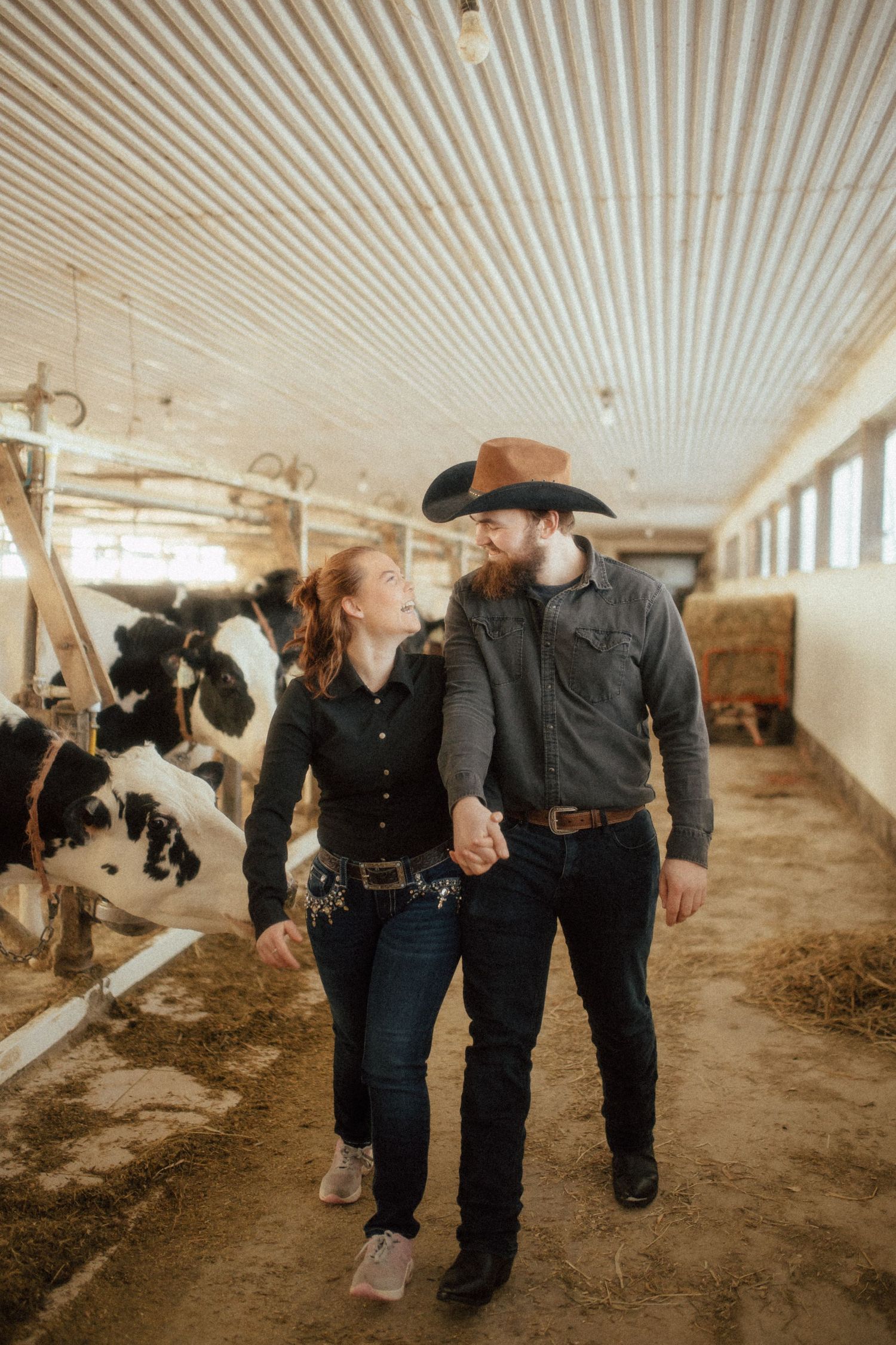 A couple walks hand in hand through a rustic barn with black and white cows visible in the background.