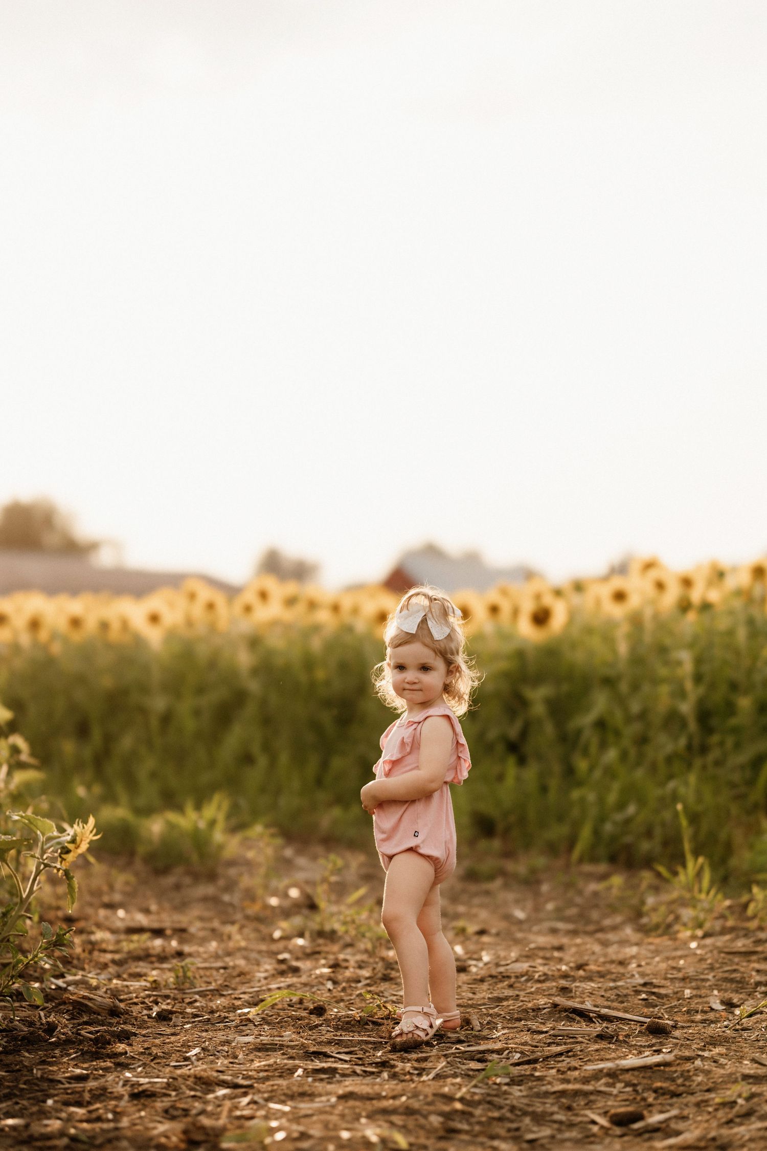 Small child in pink clothing standing near a sunflower field at sunset.